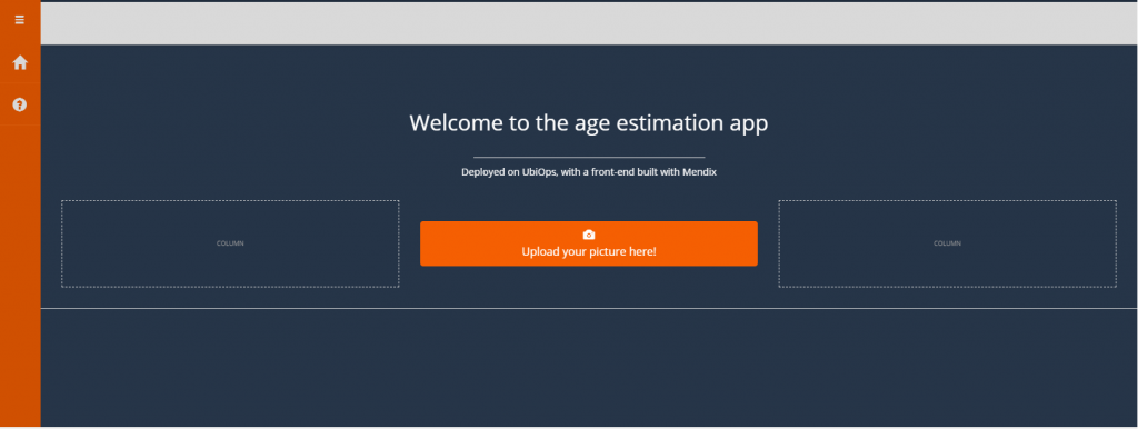 Figure 11: home page for the age estimation app (editing mode, studio view))