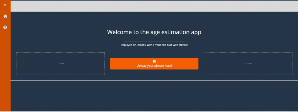 home page for the age estimation app editing mode studio view