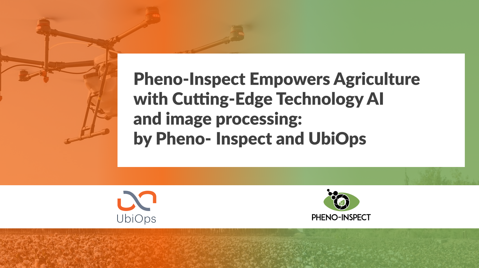 Pheno-Inspect Empowers Agriculture with Cutting-Edge Technology AI and image processing_ by Pheno- Inspect and UbiOps (1)